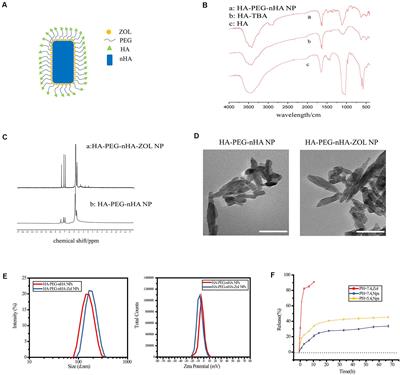 Zoledronic Acid-Loaded Hybrid Hyaluronic Acid/Polyethylene Glycol/Nano-Hydroxyapatite Nanoparticle: Novel Fabrication and Safety Verification